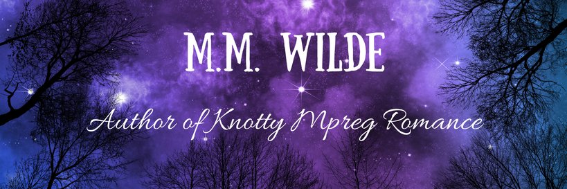Author_MMWilde's profile banner image
