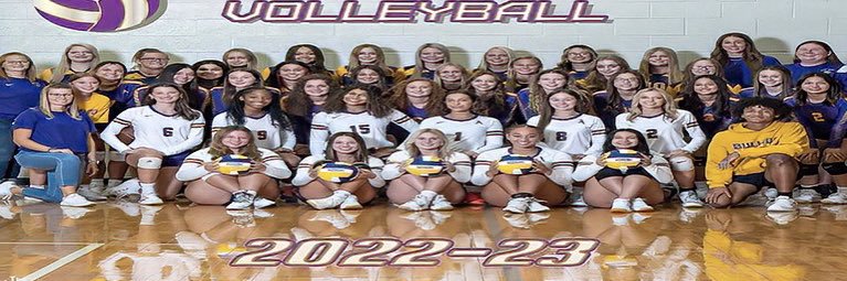 ACHS Volleyball banner