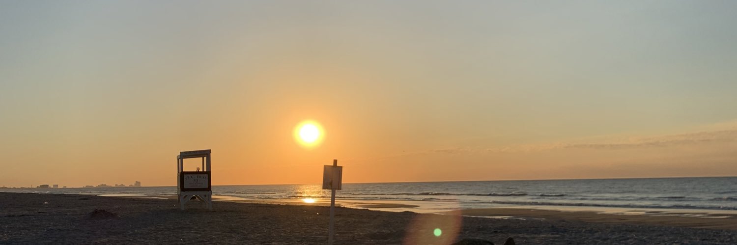 erikaferraino's profile banner image
