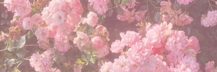 mrclamar's profile banner image