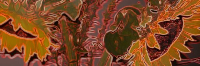 Katiuska banner