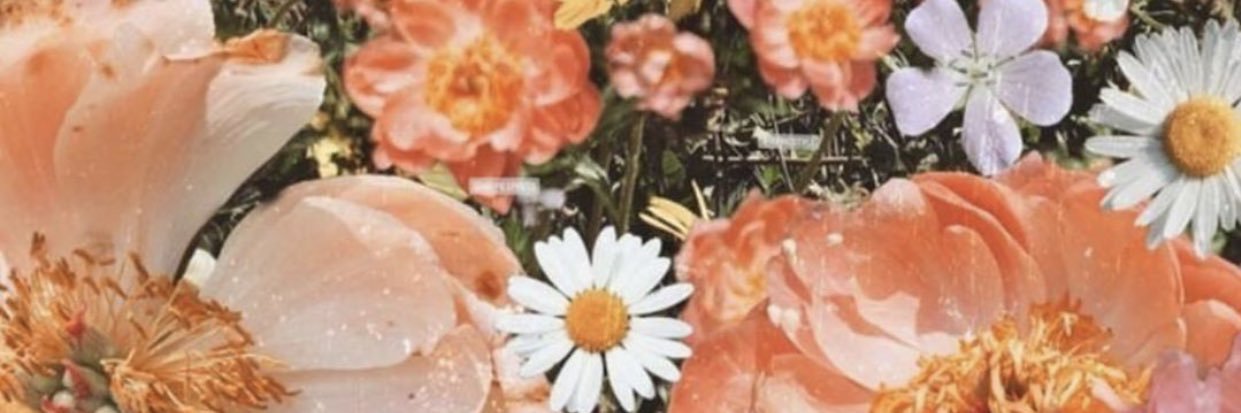 gusmangio's profile banner image
