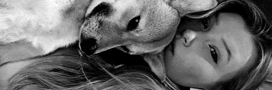 vdbergheines's profile banner image