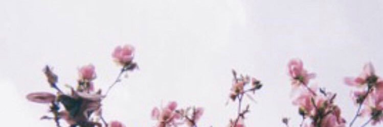 sakura_0627's profile banner image