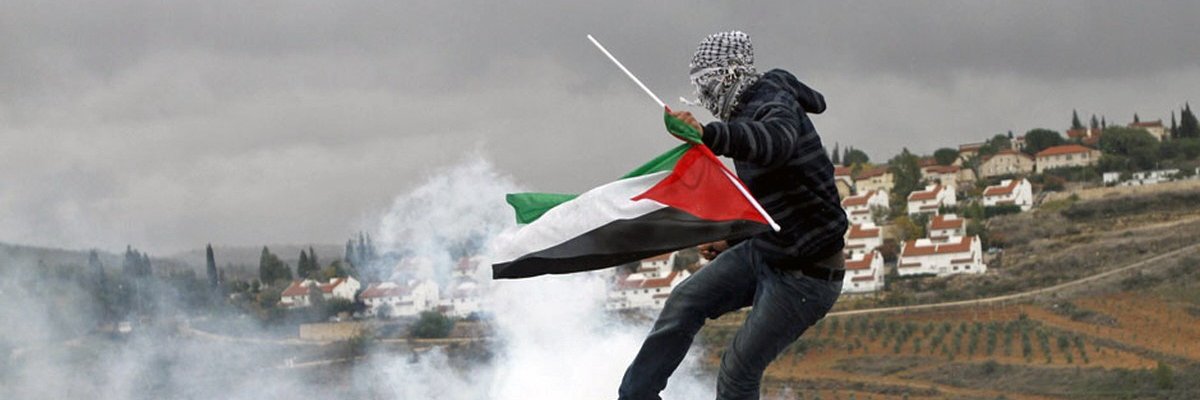 Zeverus Tamimi banner