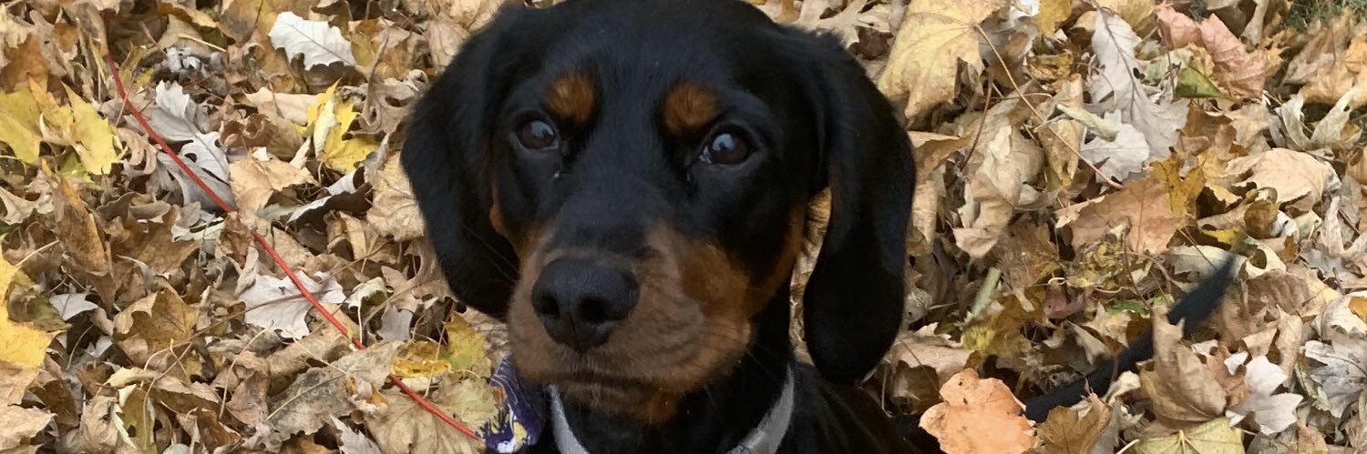 schlamm5's profile banner image