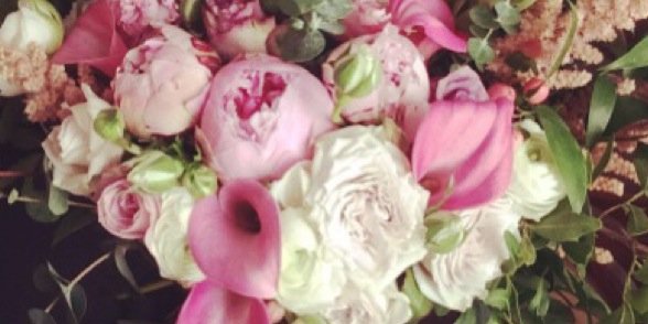 dodina_e's profile banner image