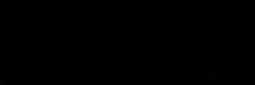 brunormz's profile banner image