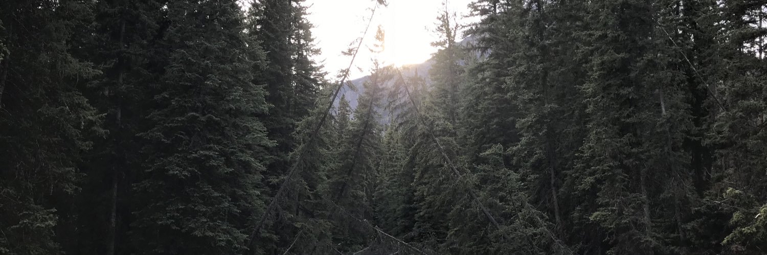 e04f0y's profile banner image