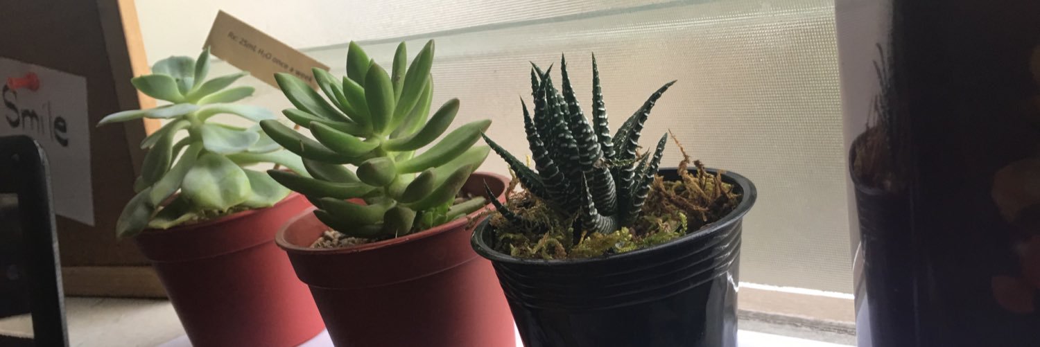 LenieGrabIts's profile banner image