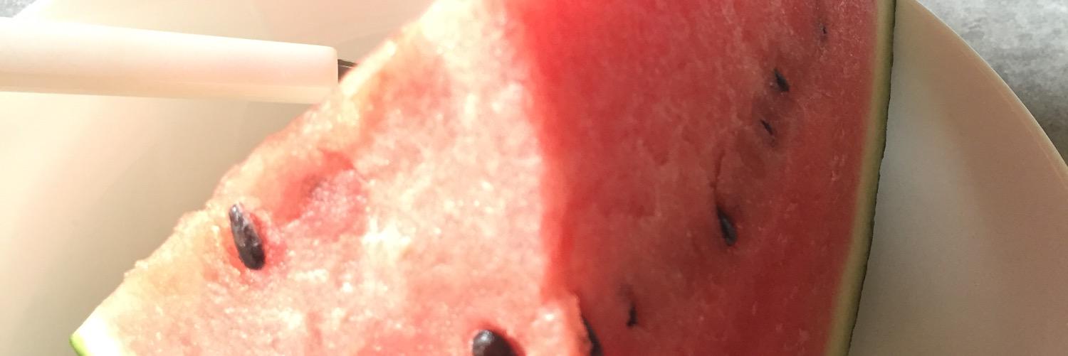 antenna69's profile banner image