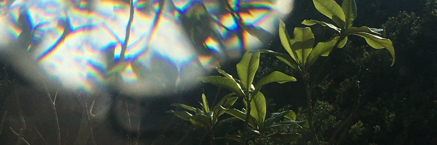 Hollyv_m's profile banner image