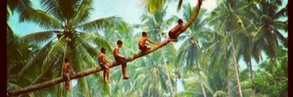 mwhelan69 Profile Banner