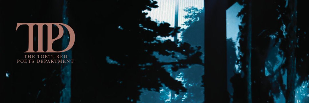 TTD_chile's profile banner image