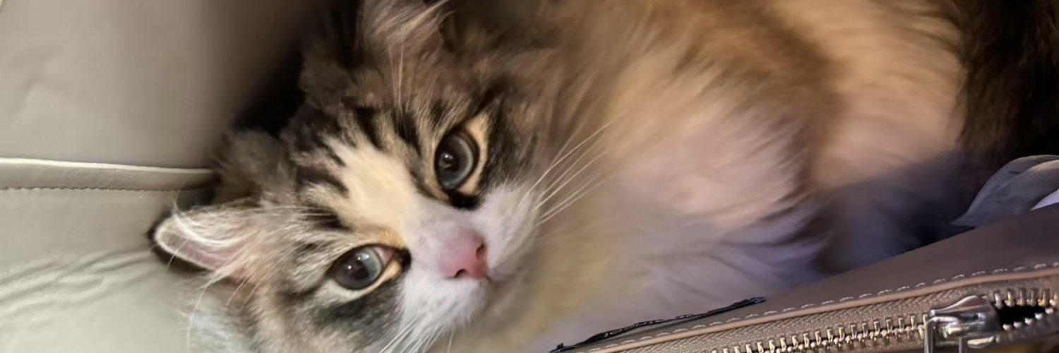 OhLeeemon's profile banner image