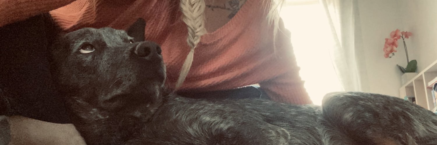 caytelou's profile banner image