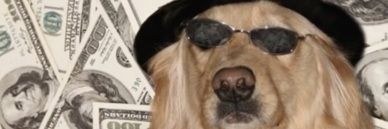 fwogbean's profile banner image