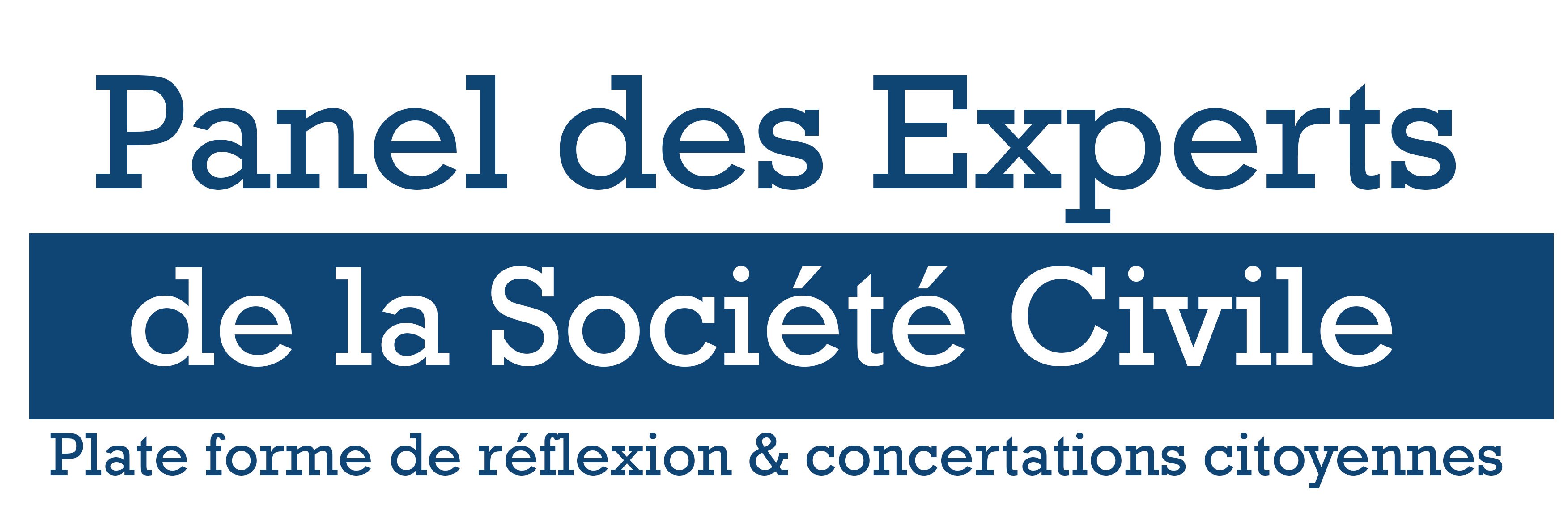 Panel des Experts de la Société Civile banner