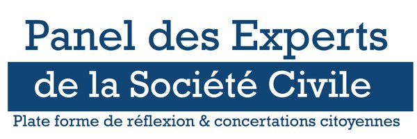 Panel des Experts de la Société Civile Profile Banner