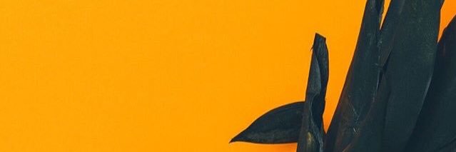 NVasat's profile banner image