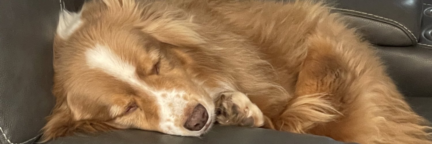 Peter Thompson banner