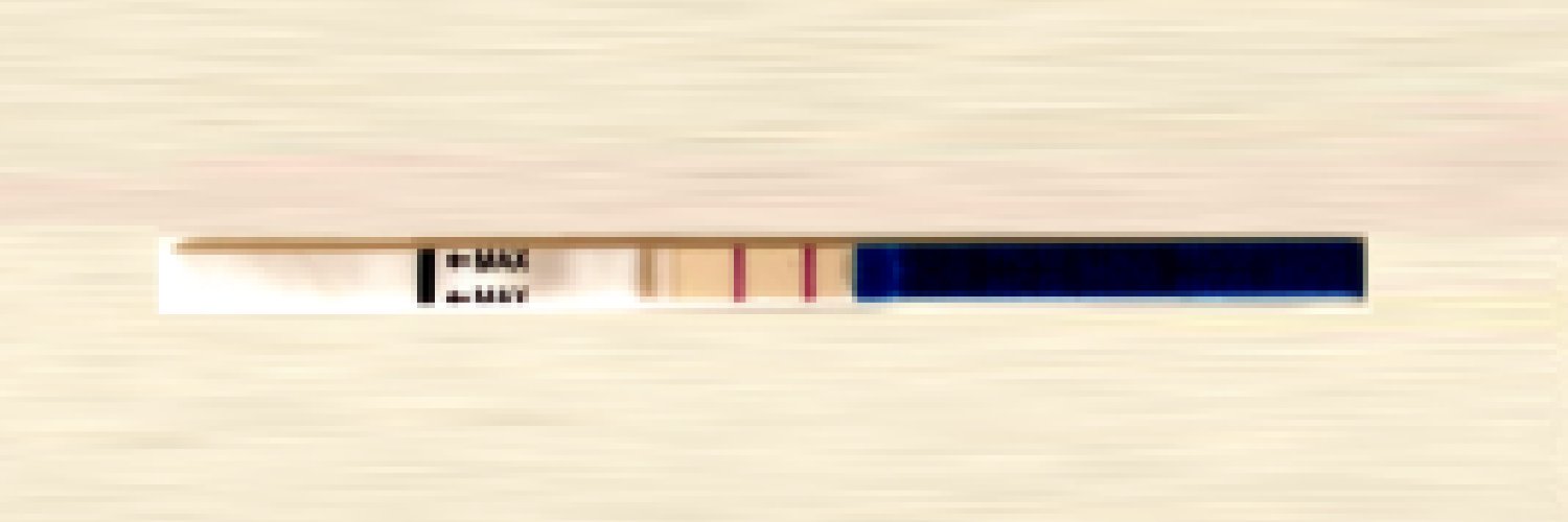 cryptochild2023's profile banner image