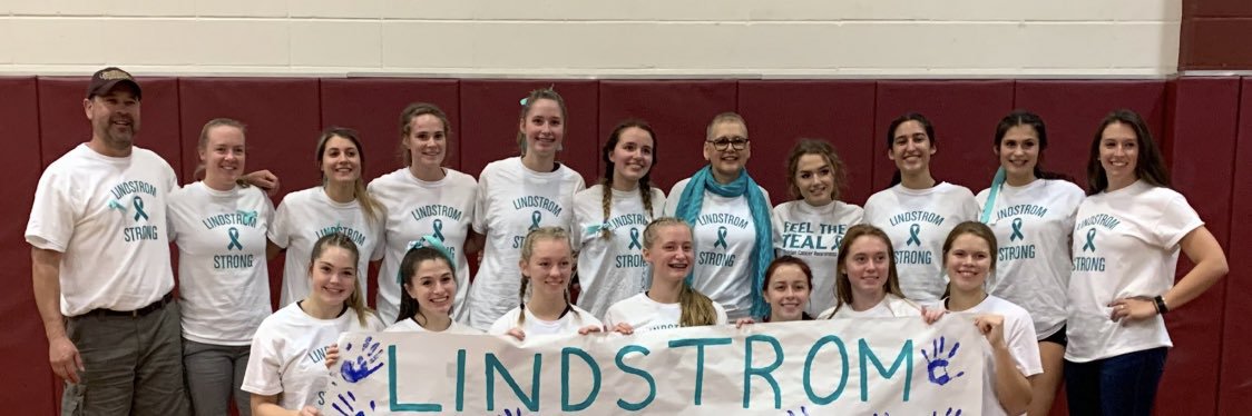 ShepherdHillVolleyball banner