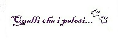 ChePelosi's profile banner image