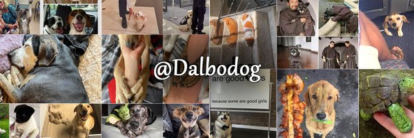 Dalbodog Profile Banner
