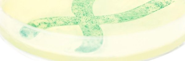 NZYTech Profile Banner