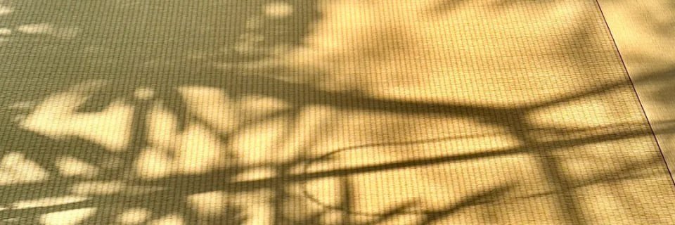 ArnoldJenniffer's profile banner image