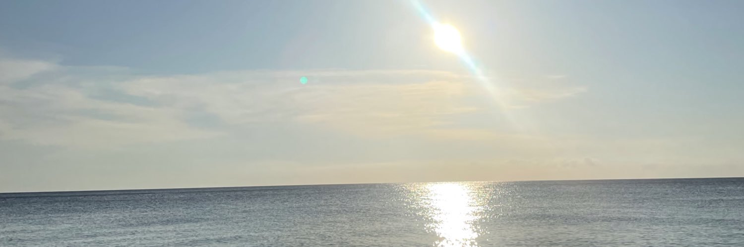 davilalu's profile banner image