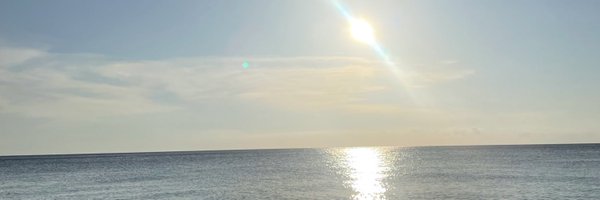 davilalu Profile Banner