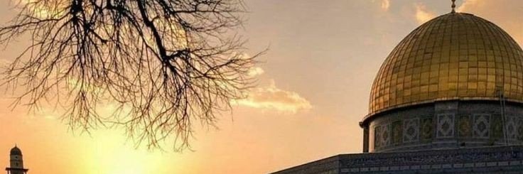 sevdam_kuduse's profile banner image