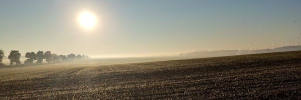 MPiesluk Profile Banner