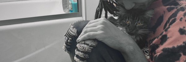 pastelxskye Profile Banner