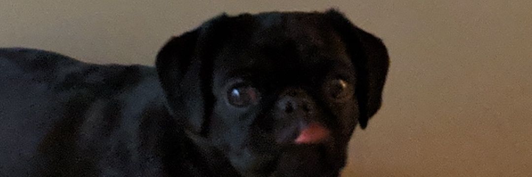 Jamespcook's profile banner image