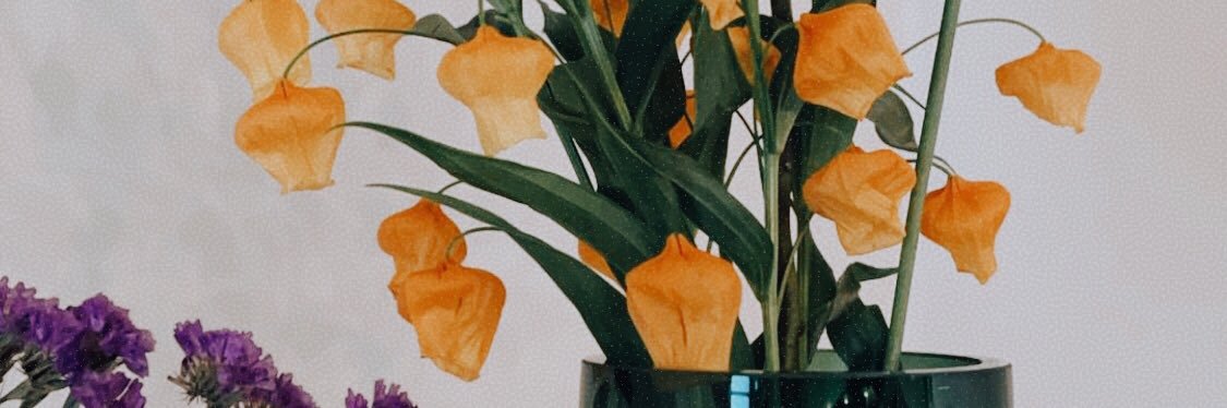Syifaaans's profile banner image