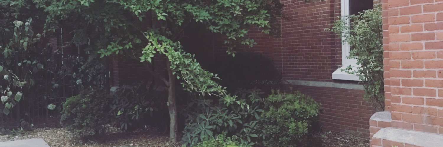 cryptidbitxh's profile banner image
