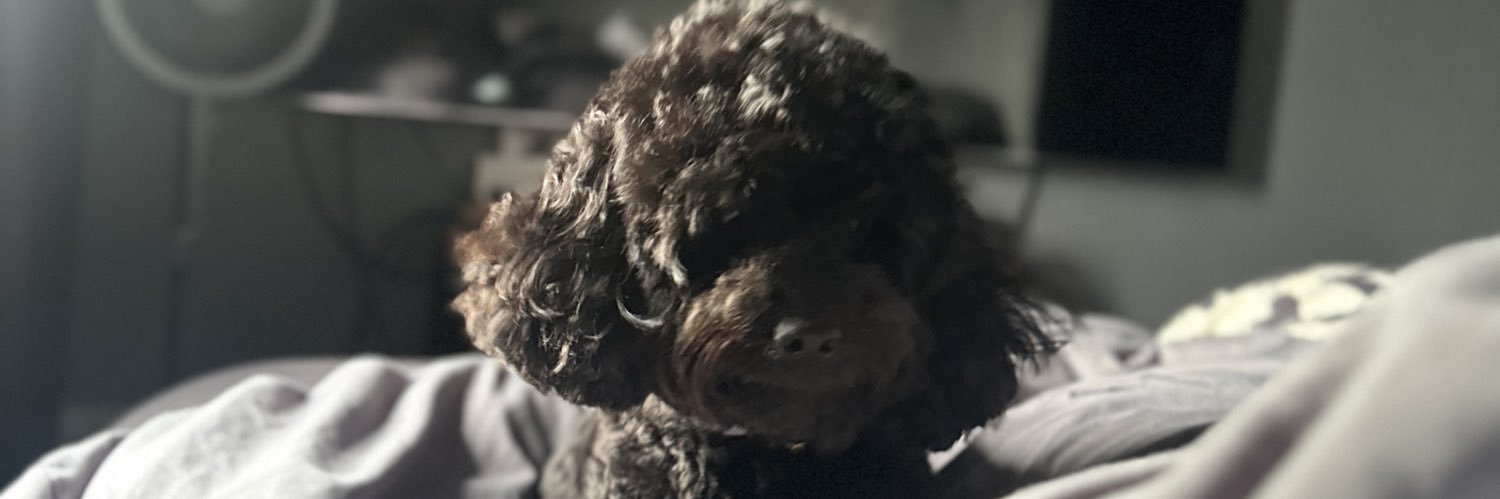 timmytot's profile banner image
