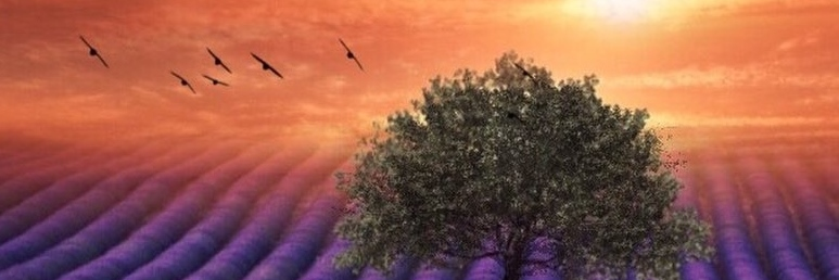 danbob59's profile banner image