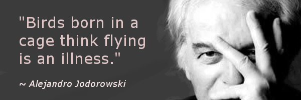 ramblingwisdom's profile banner image