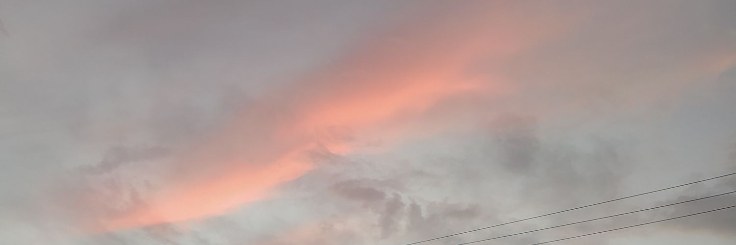 ldfloress's profile banner image