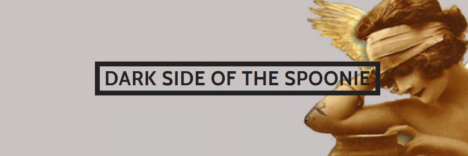 Dark Side Of The Spoonie banner