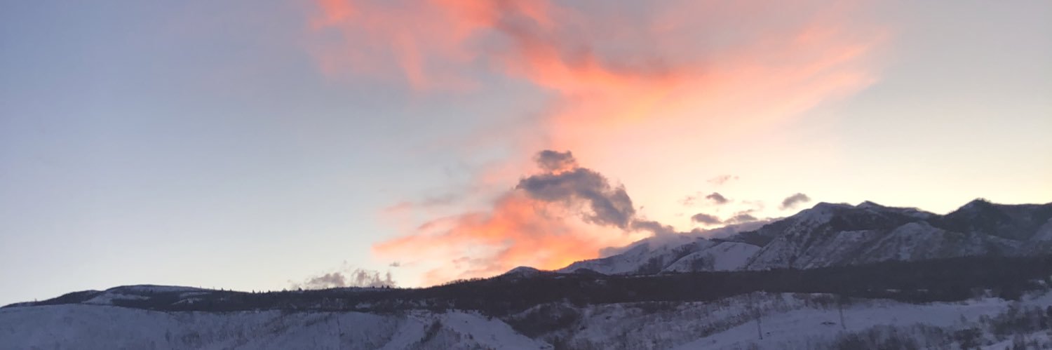 Abby Snow banner