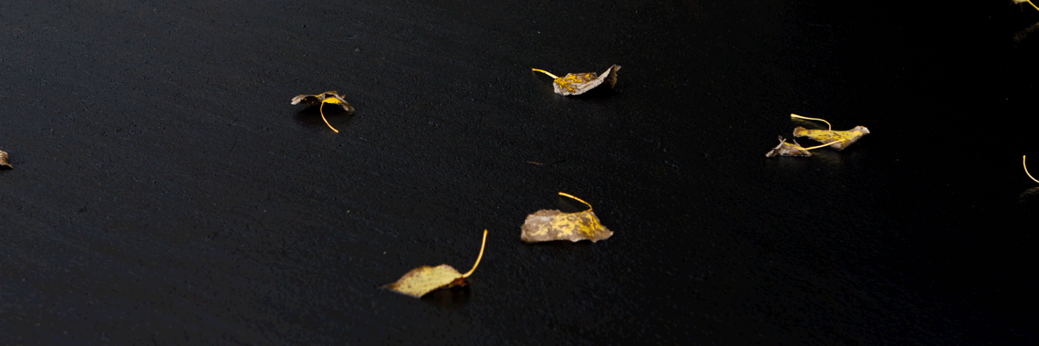 Twitter banner for @tori