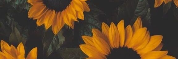 _milasquei_'s profile banner image