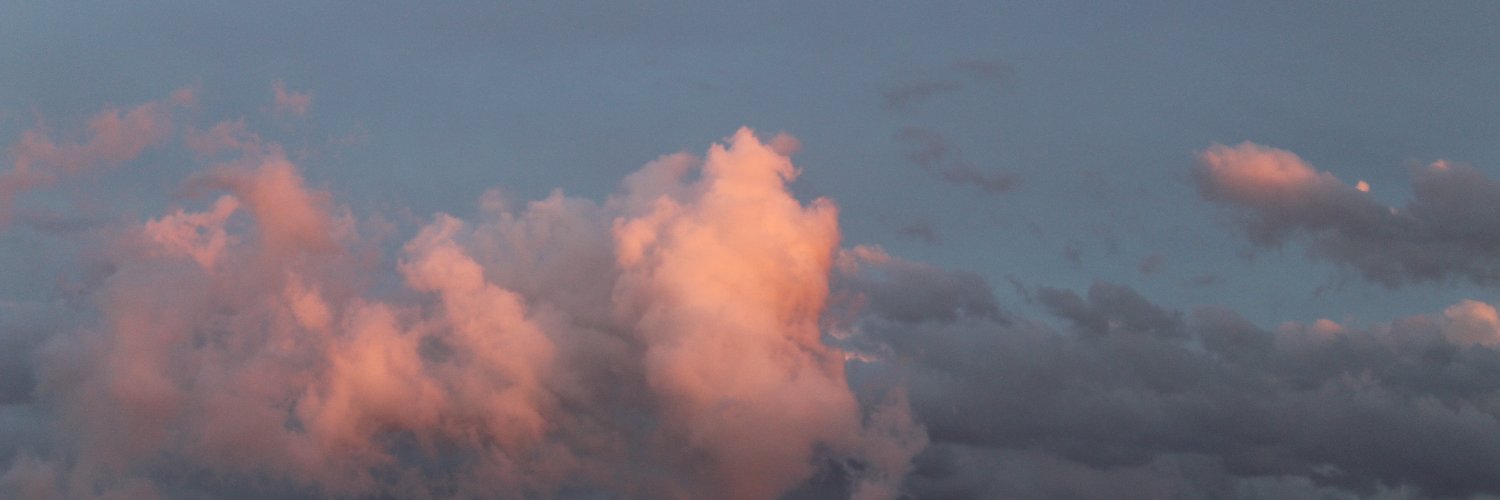 Júlia Roca Gibert. 𓆈 banner