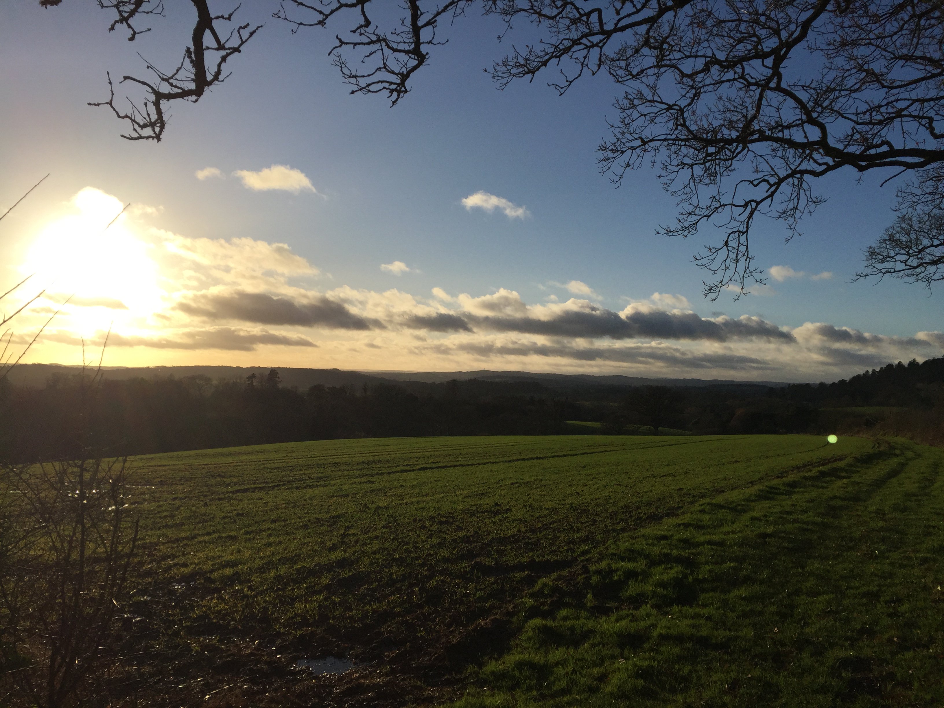 Exmouth & Exeter East LibDems 🔶 banner