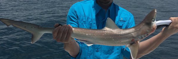 Zenman2436 Profile Banner